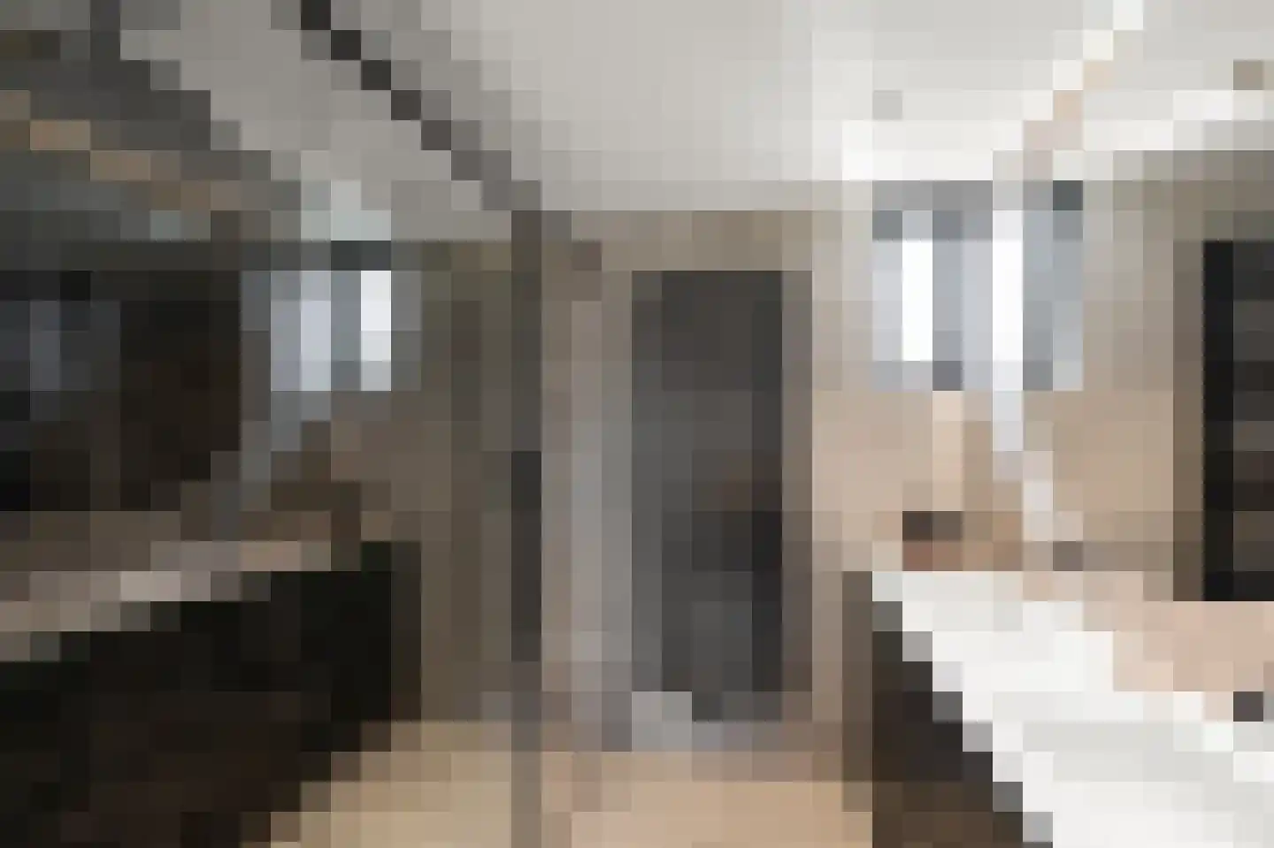 Laan van Meerwijk 32 Uithoorn thumbnail 30