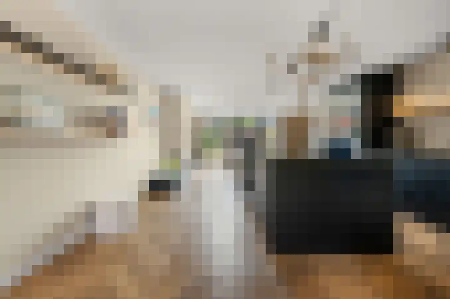 Laan van Meerwijk 32 Uithoorn thumbnail 7