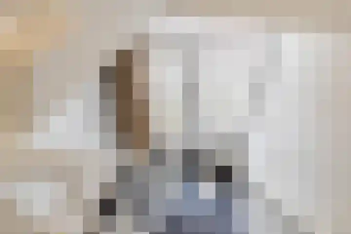 Laan van Mertersem 82 Breda thumbnail 18
