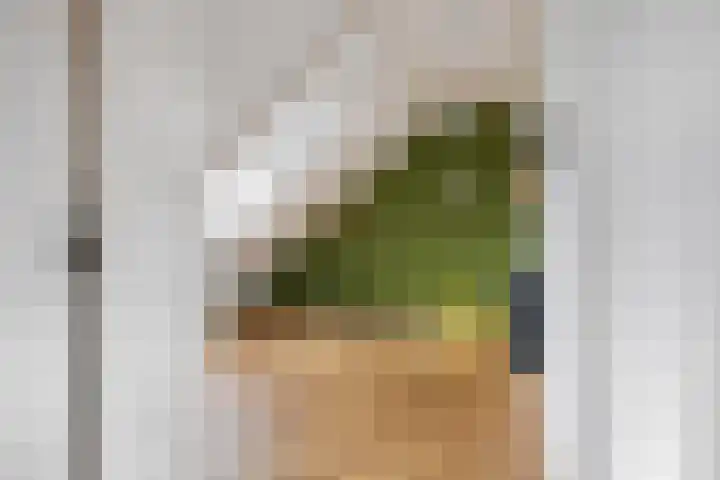 Laan van Mertersem 82 Breda thumbnail 32