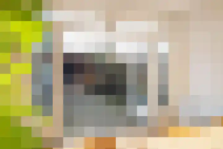 Laan van Mertersem 82 Breda thumbnail 37