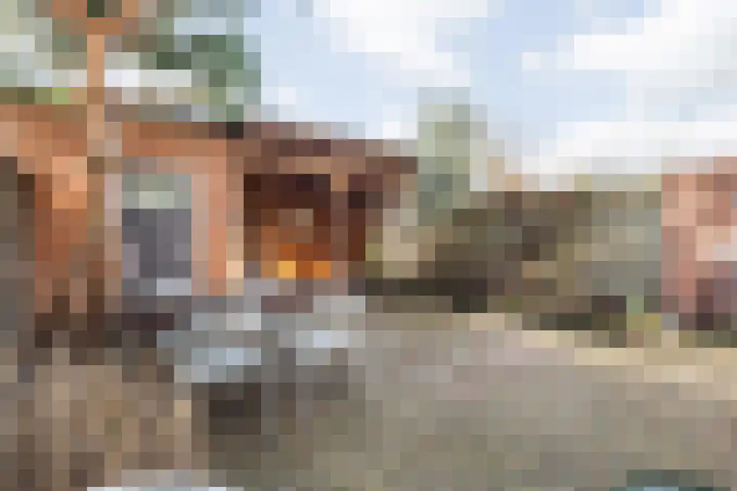 Laan van Mertersem 82 Breda thumbnail 38