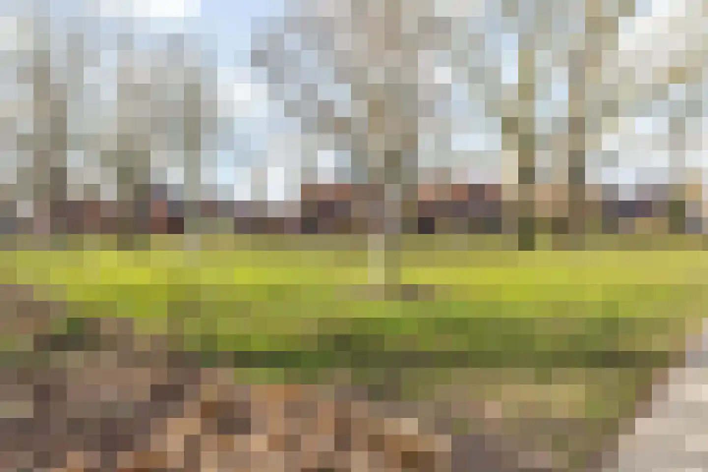 Laan van Mertersem 82 Breda thumbnail 42