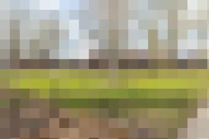 Laan van Mertersem 82 Breda thumbnail 42