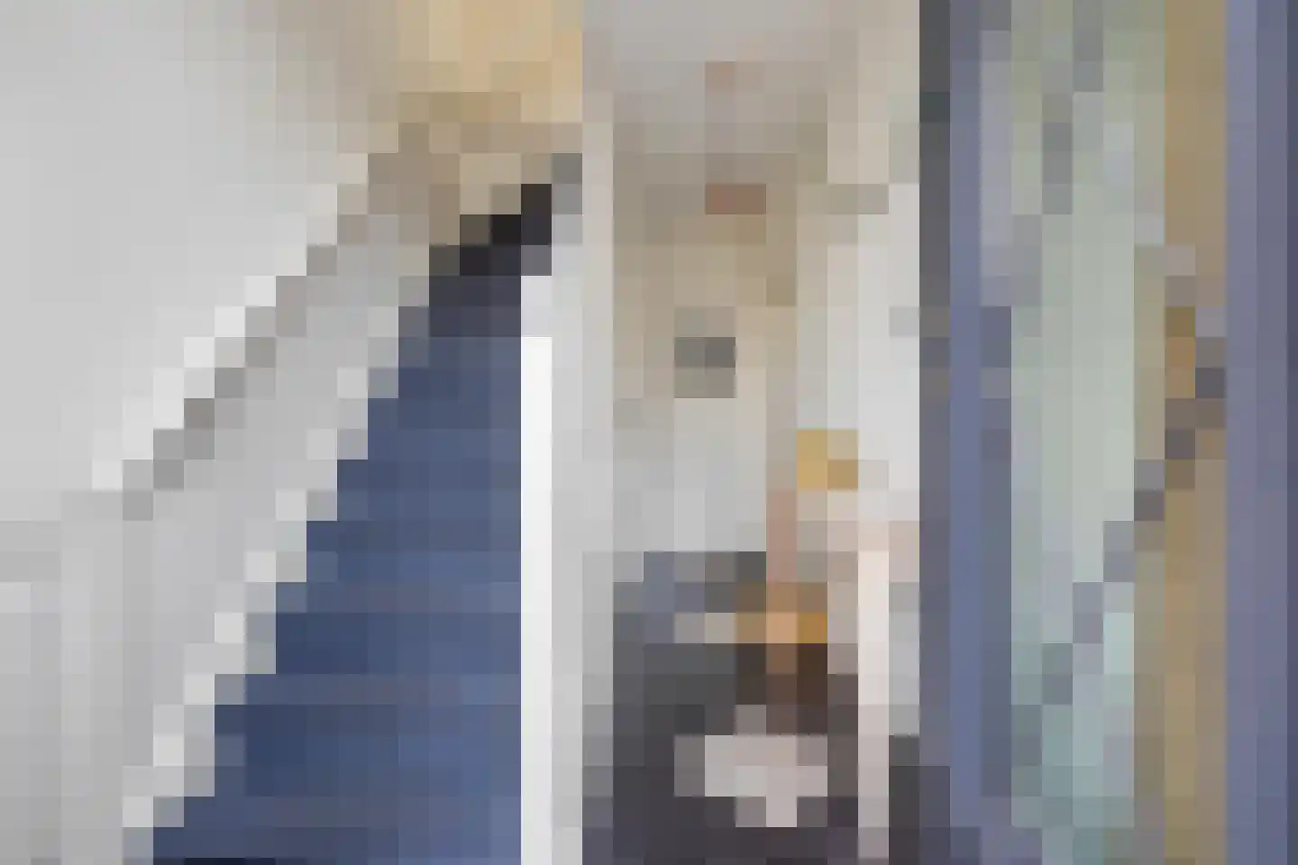 Laan van Mertersem 82 Breda thumbnail 8