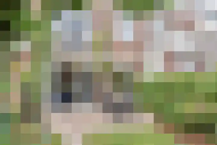 Laan van Middenburg 20 Voorburg thumbnail 21