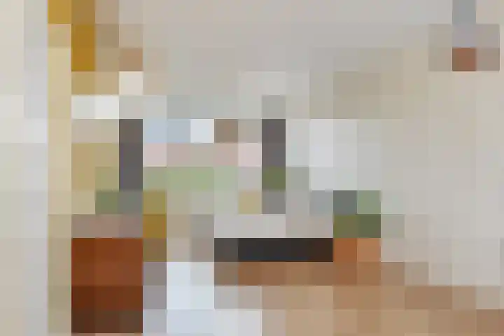 Laan van Middenburg 20 Voorburg thumbnail 28