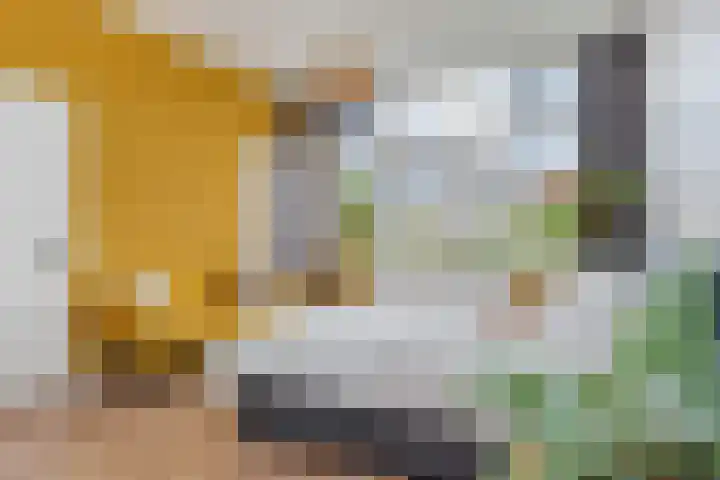 Laan van Middenburg 20 Voorburg thumbnail 30