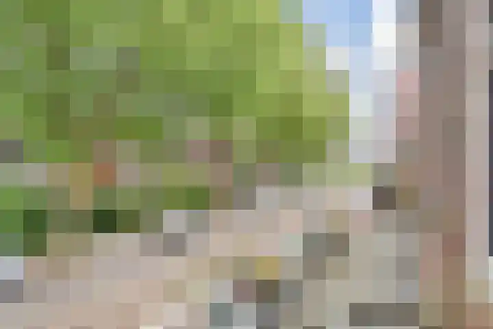 Laan van Middenburg 20 Voorburg thumbnail 35