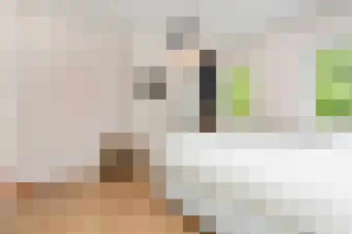 Laan van Middenburg 20 Voorburg thumbnail 45