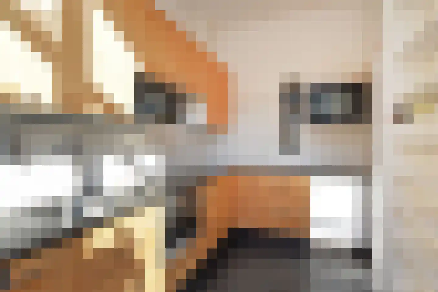 Laan van Middenburg 22 Voorburg thumbnail 18