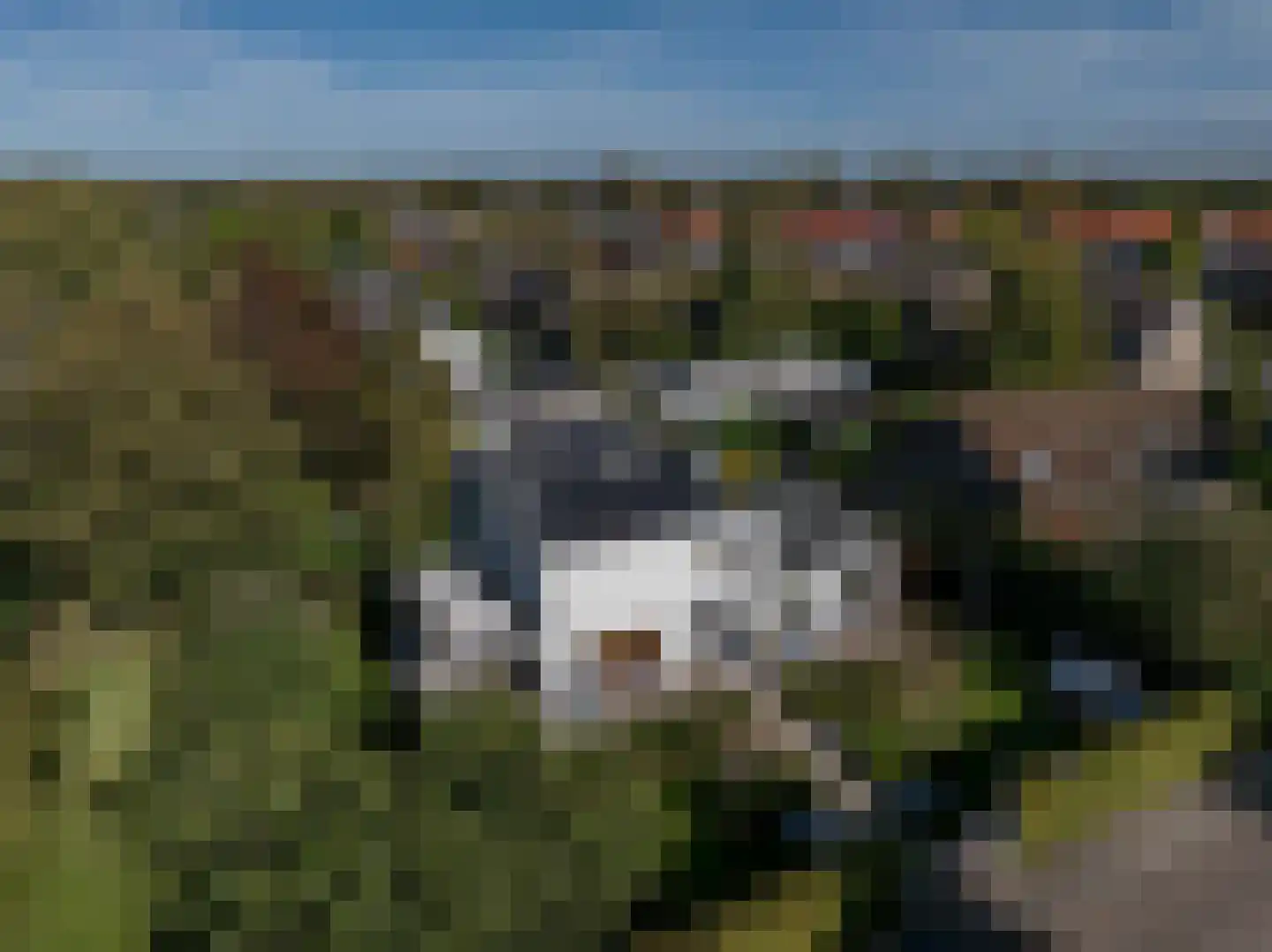 Laan van Moerkerken 55 Mijnsheerenland thumbnail 10