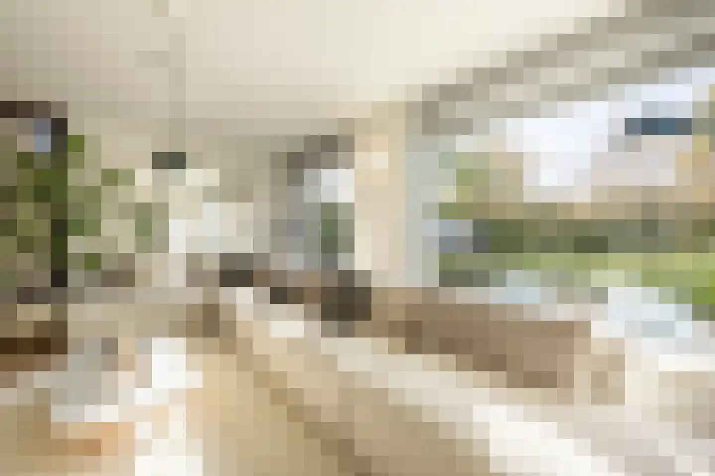 Laan van Moerkerken 55 Mijnsheerenland thumbnail 11