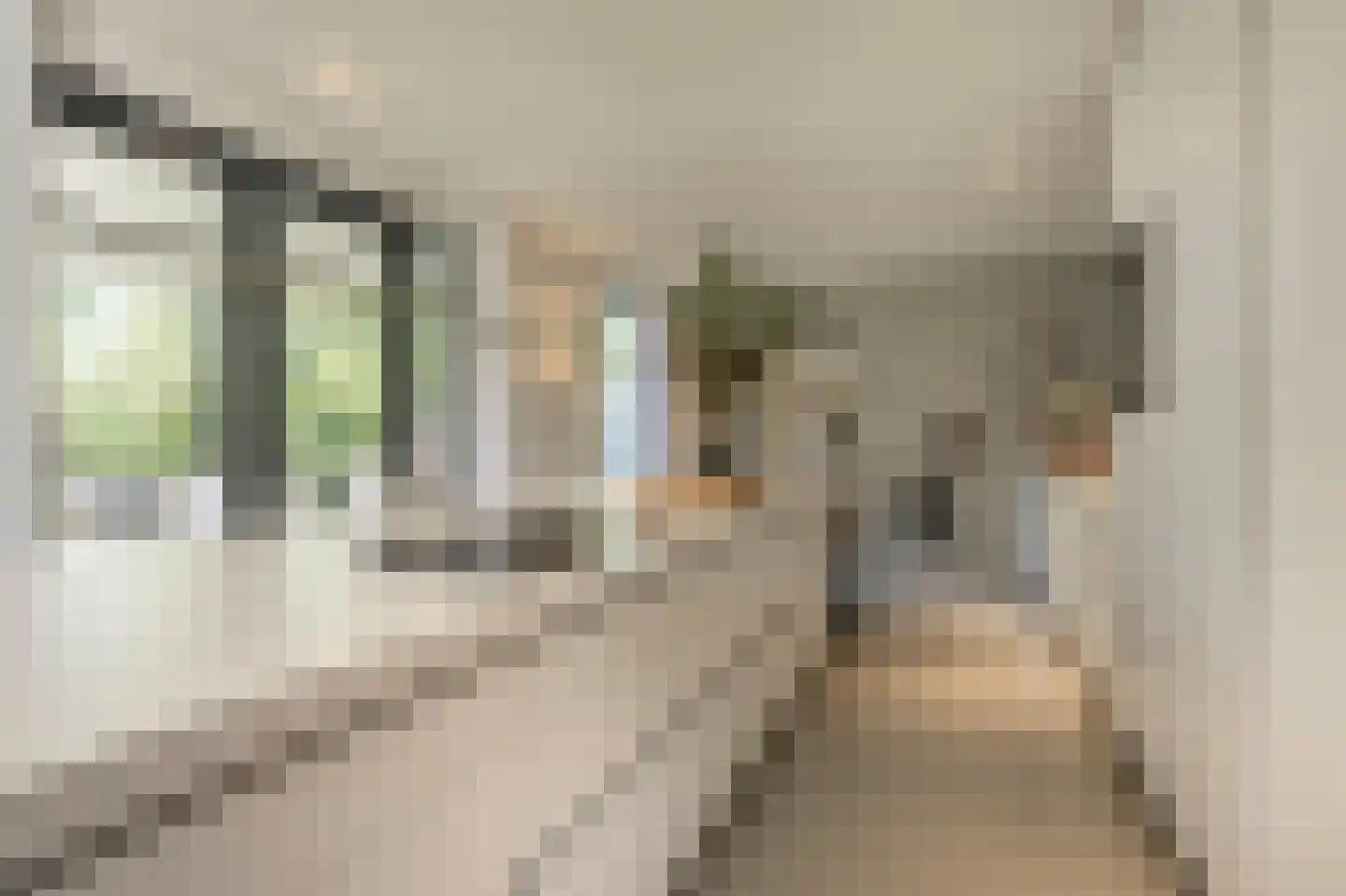 Laan van Moerkerken 55 Mijnsheerenland thumbnail 13