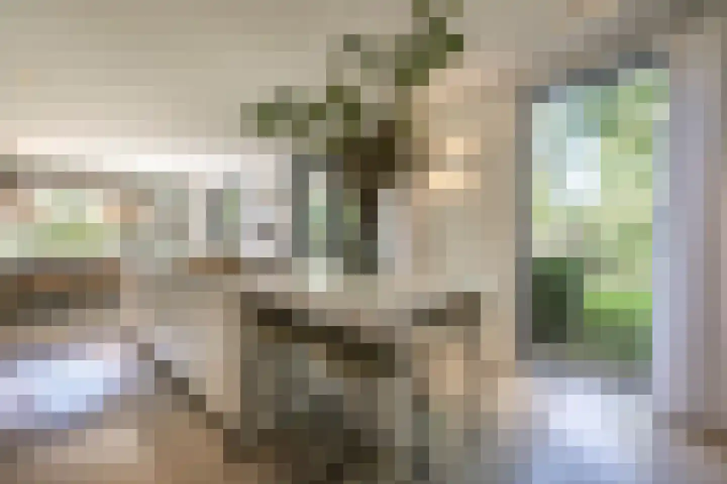 Laan van Moerkerken 55 Mijnsheerenland thumbnail 14