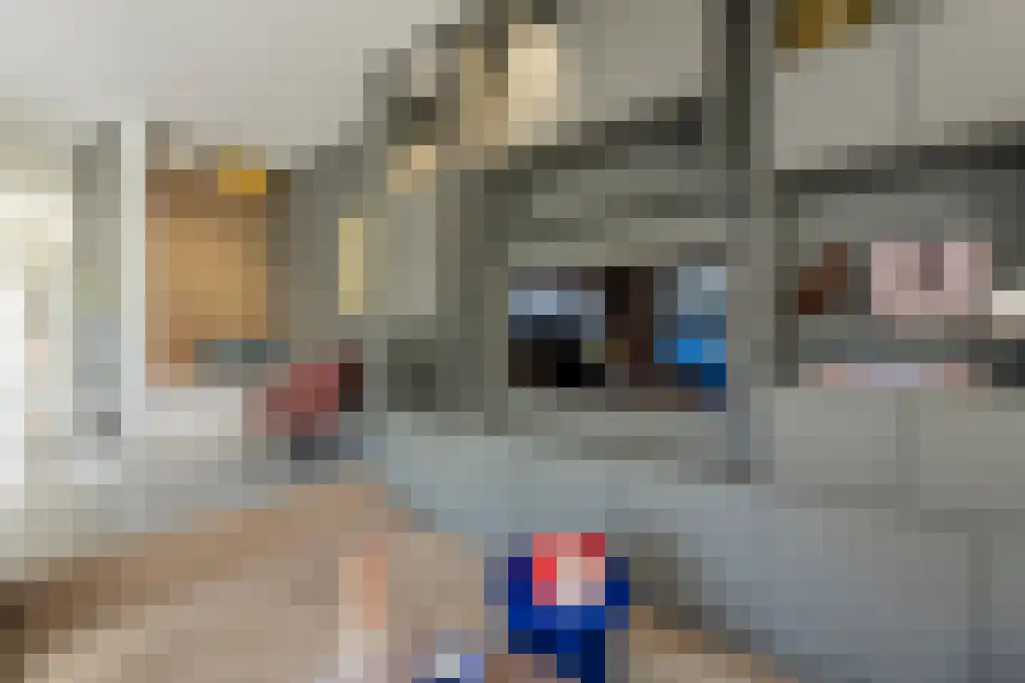 Laan van Moerkerken 55 Mijnsheerenland thumbnail 23