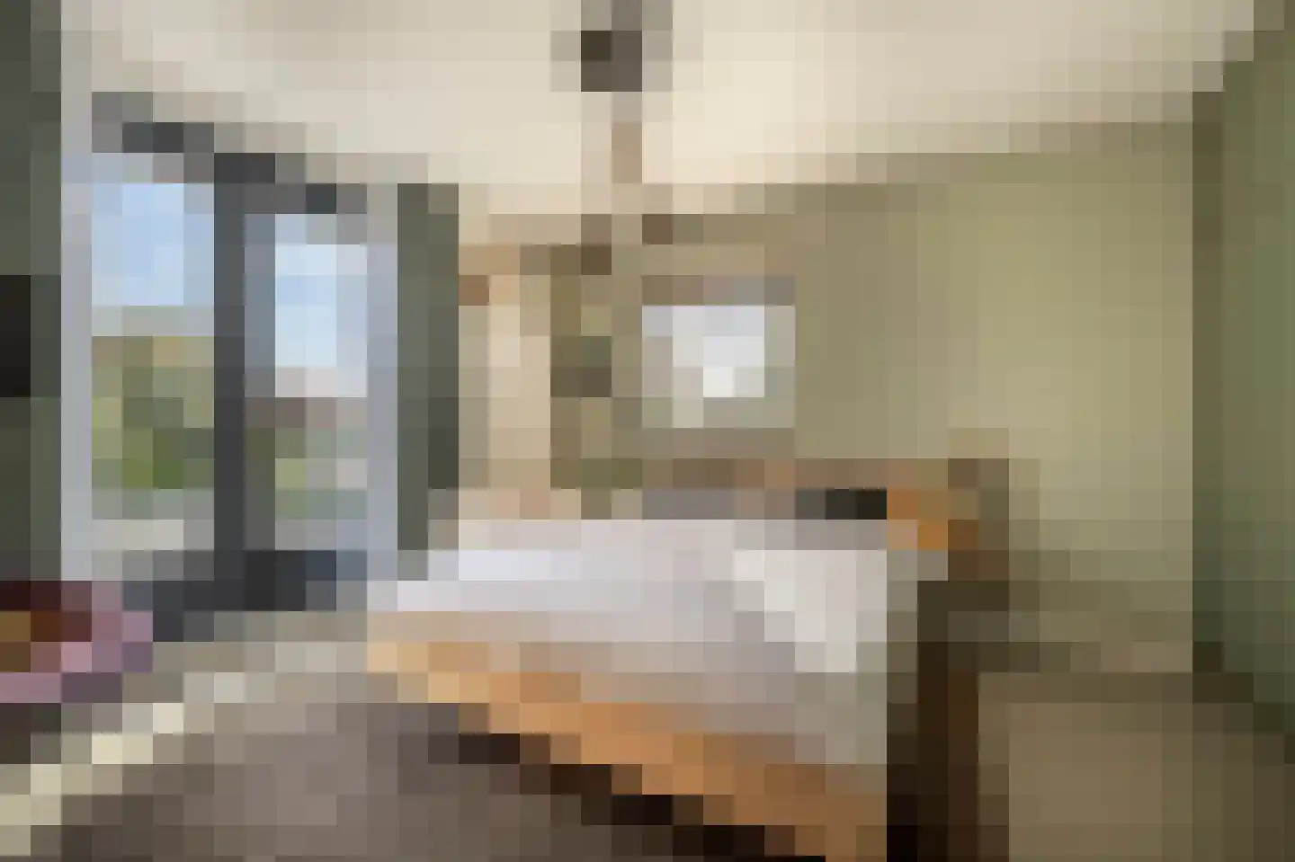 Laan van Moerkerken 55 Mijnsheerenland thumbnail 25