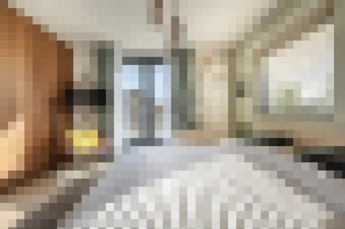 Laan van Moerkerken 55 Mijnsheerenland thumbnail 26