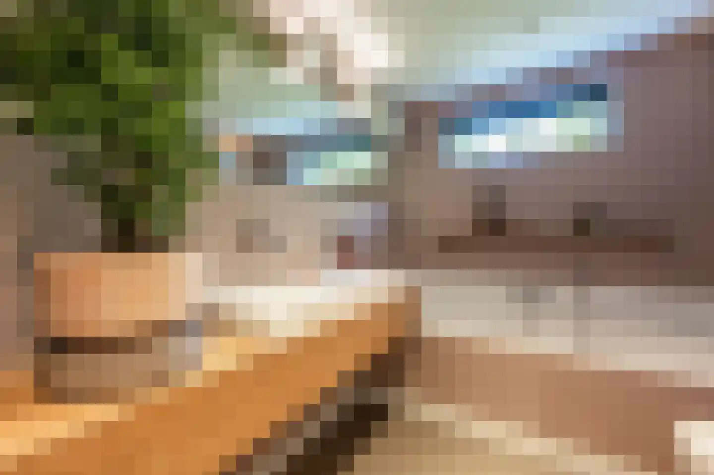 Laan van Moerkerken 55 Mijnsheerenland thumbnail 30