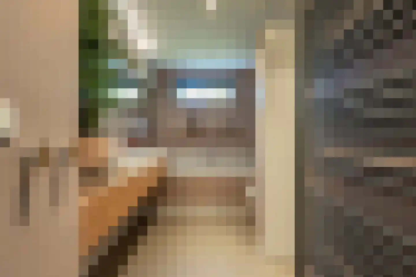 Laan van Moerkerken 55 Mijnsheerenland thumbnail 33