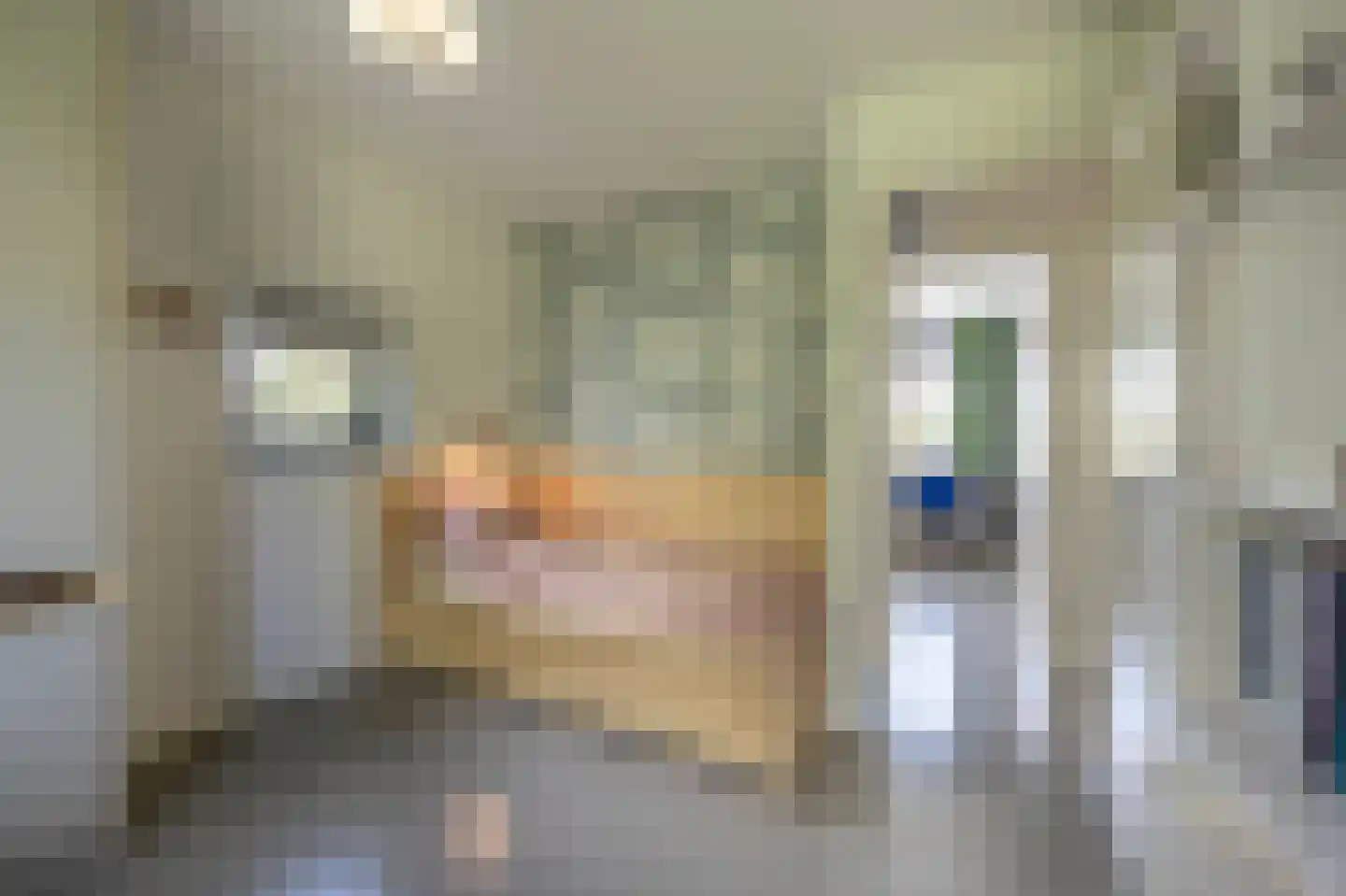 Laan van Moerkerken 55 Mijnsheerenland thumbnail 34