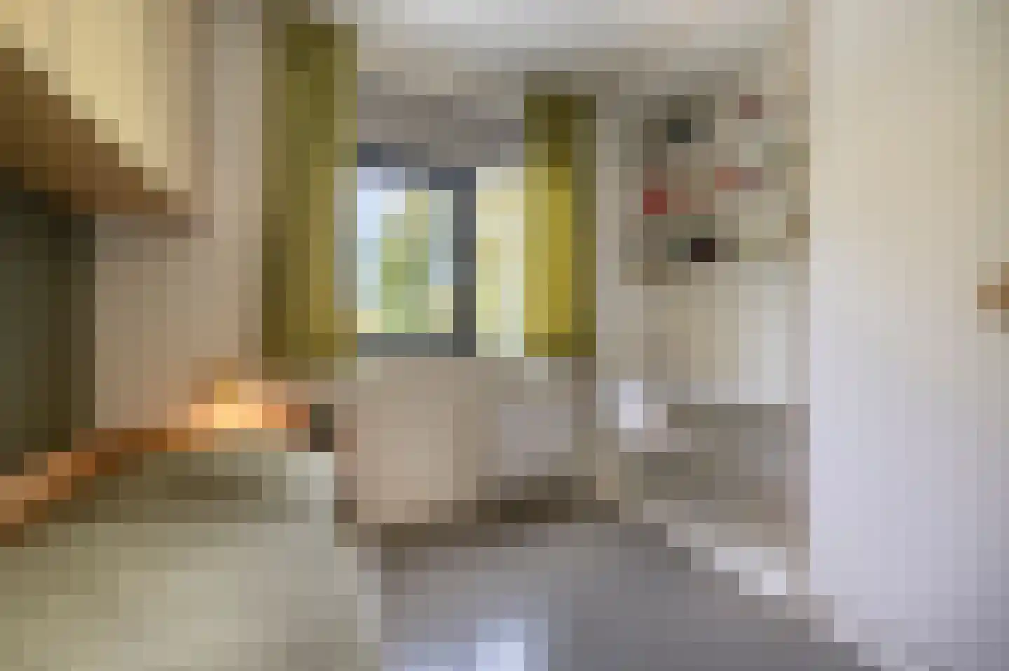 Laan van Moerkerken 55 Mijnsheerenland thumbnail 39