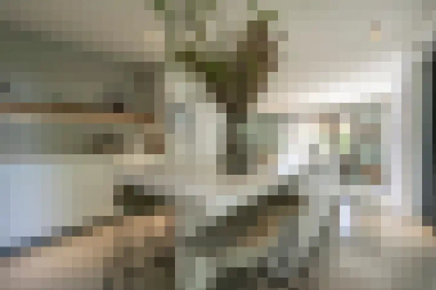 Laan van Moerkerken 55 Mijnsheerenland thumbnail 4