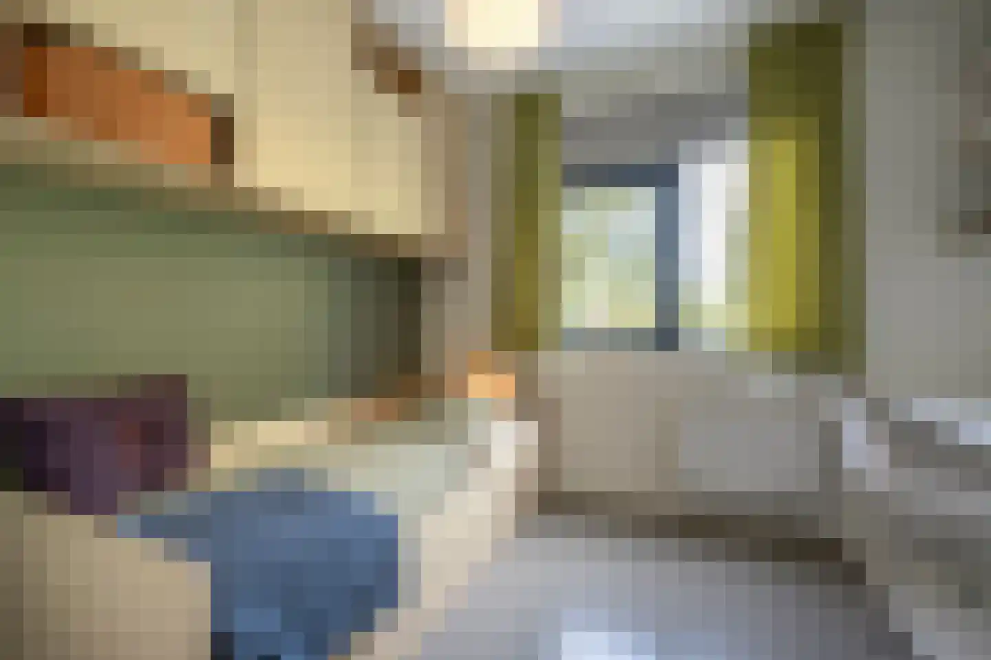 Laan van Moerkerken 55 Mijnsheerenland thumbnail 41