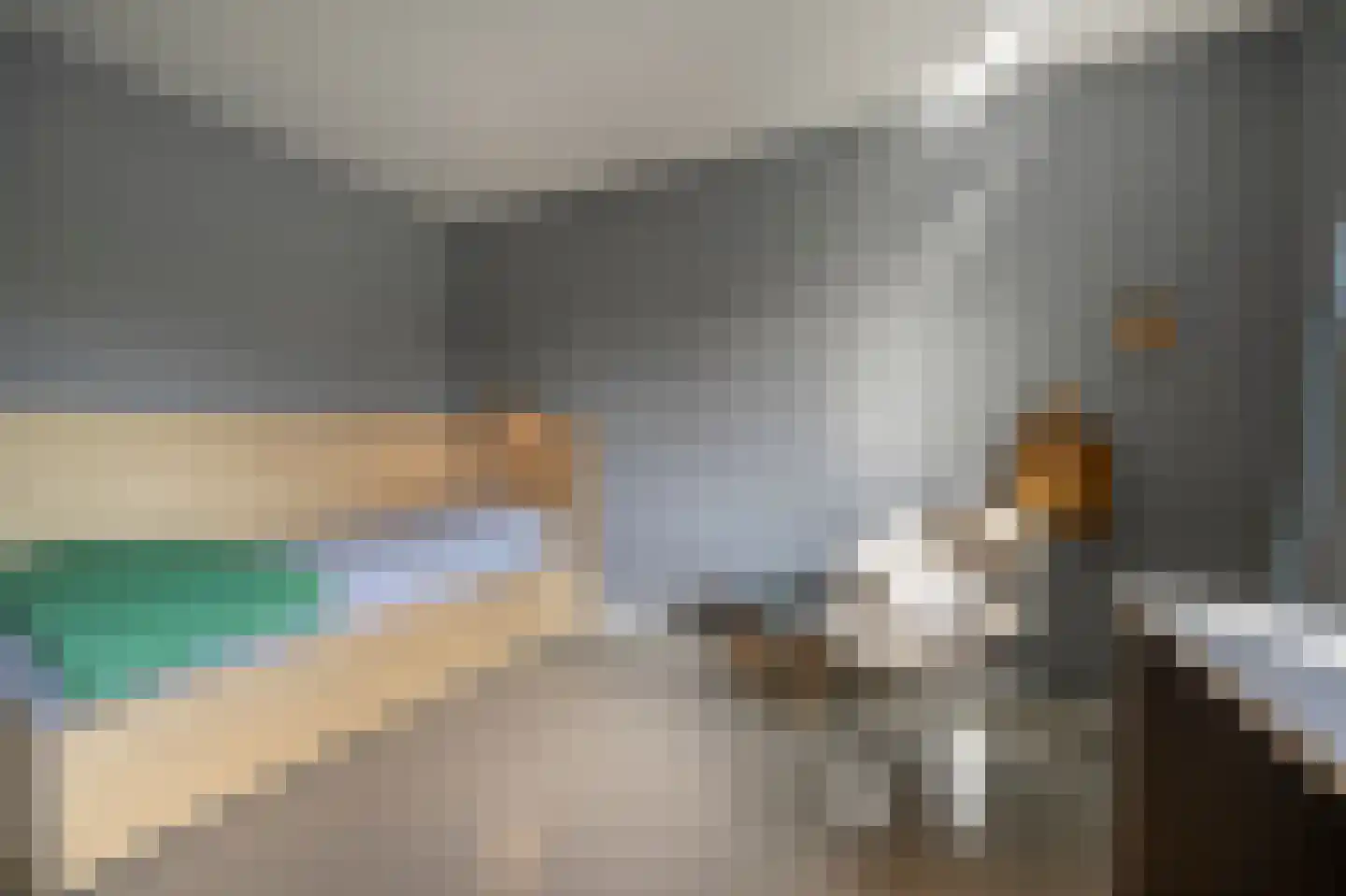 Laan van Moerkerken 55 Mijnsheerenland thumbnail 42