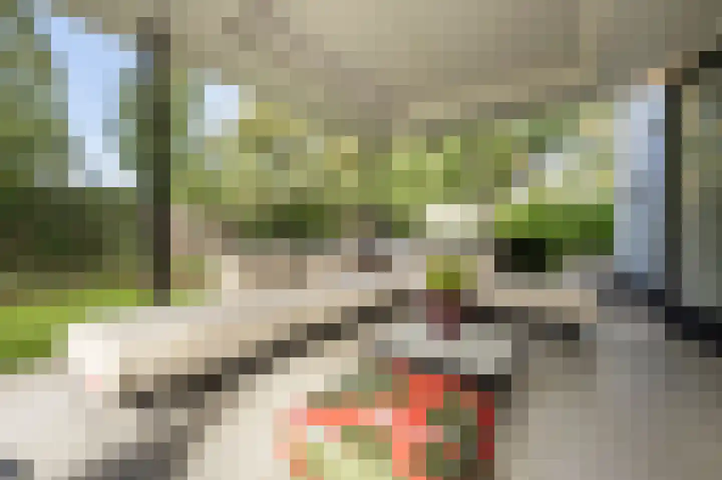 Laan van Moerkerken 55 Mijnsheerenland thumbnail 45