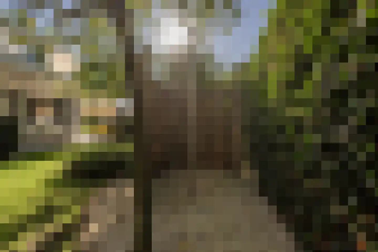 Laan van Moerkerken 55 Mijnsheerenland thumbnail 49