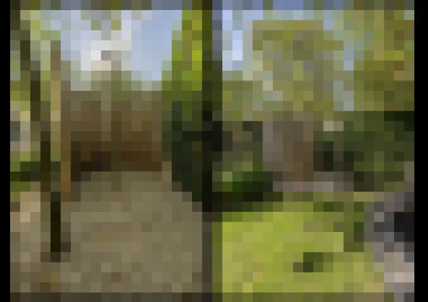Laan van Moerkerken 55 Mijnsheerenland thumbnail 50