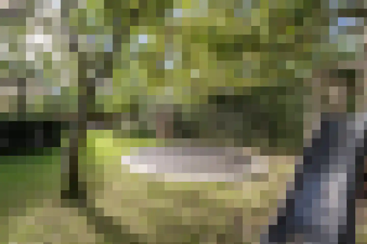 Laan van Moerkerken 55 Mijnsheerenland thumbnail 51