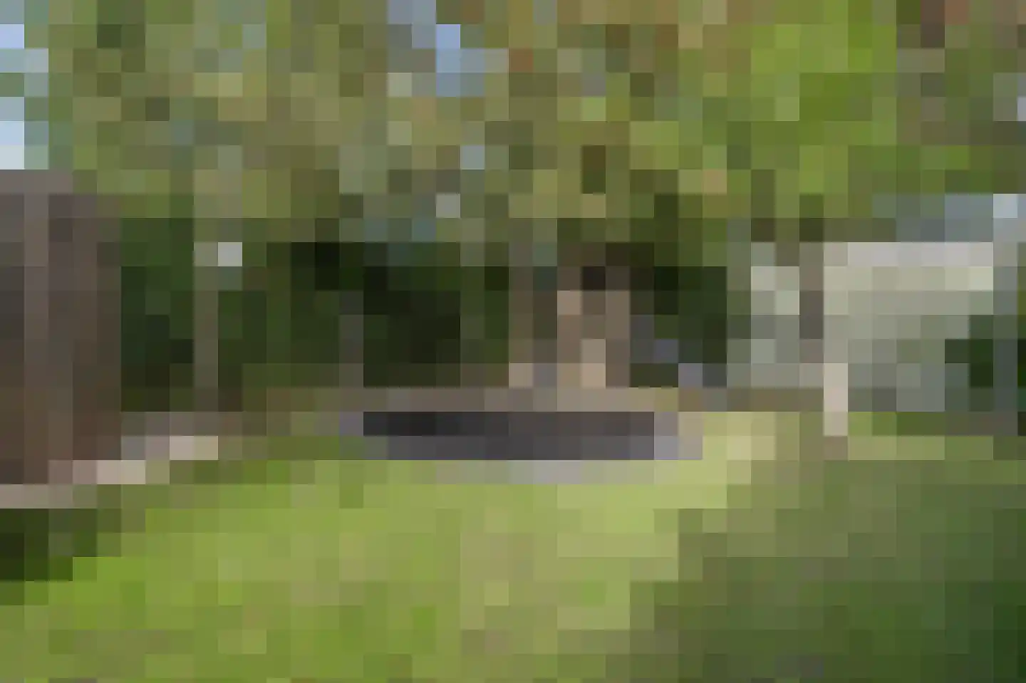 Laan van Moerkerken 55 Mijnsheerenland thumbnail 52
