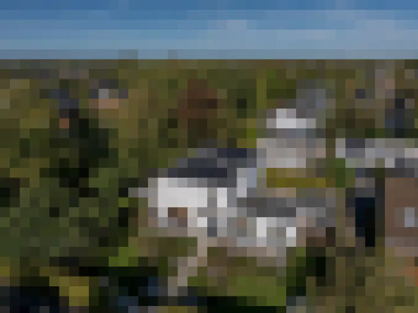 Laan van Moerkerken 55 Mijnsheerenland thumbnail 60