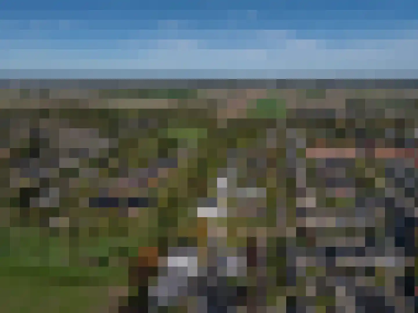 Laan van Moerkerken 55 Mijnsheerenland thumbnail 61