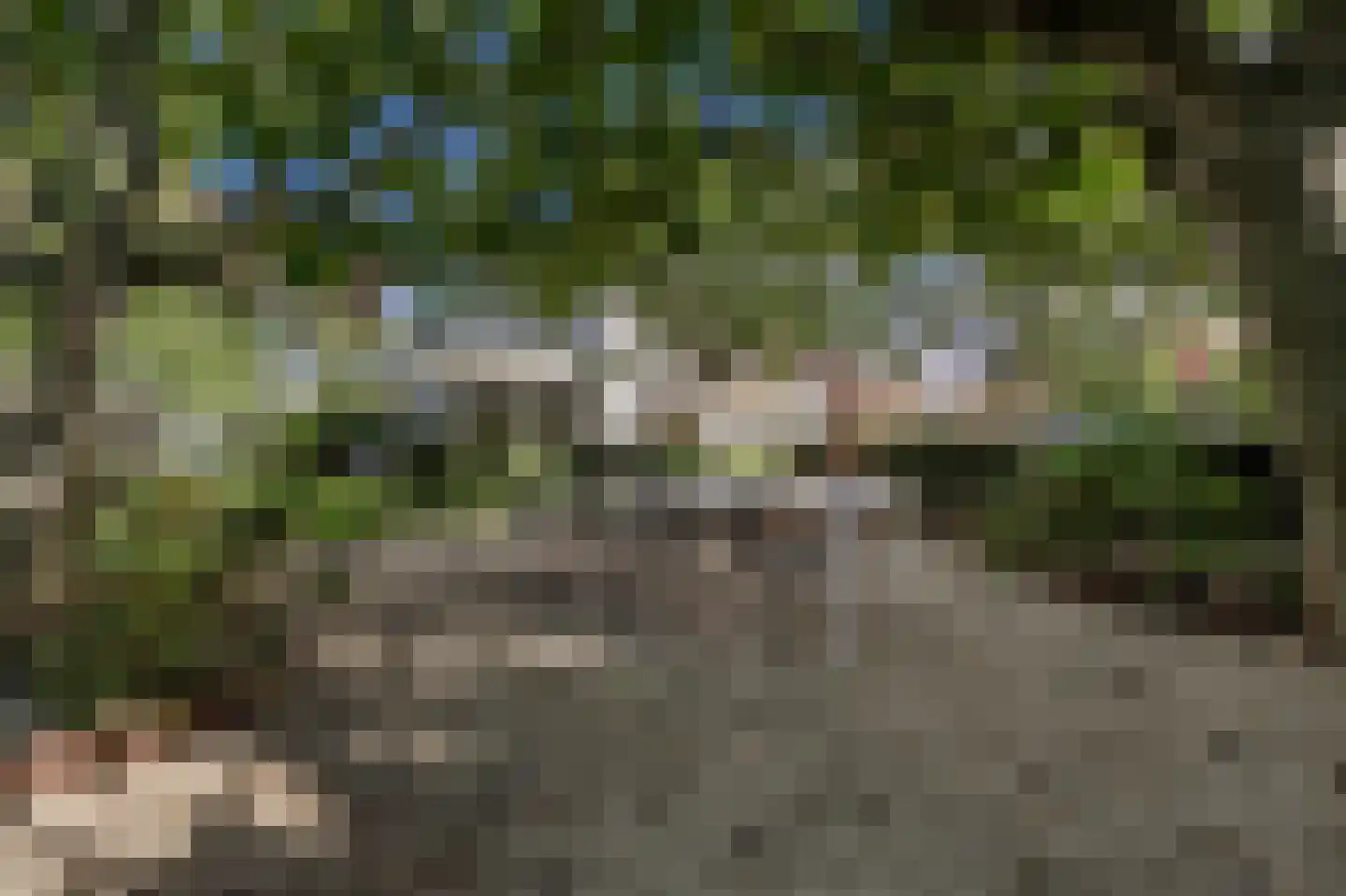 Laan van Moerkerken 55 Mijnsheerenland thumbnail 8