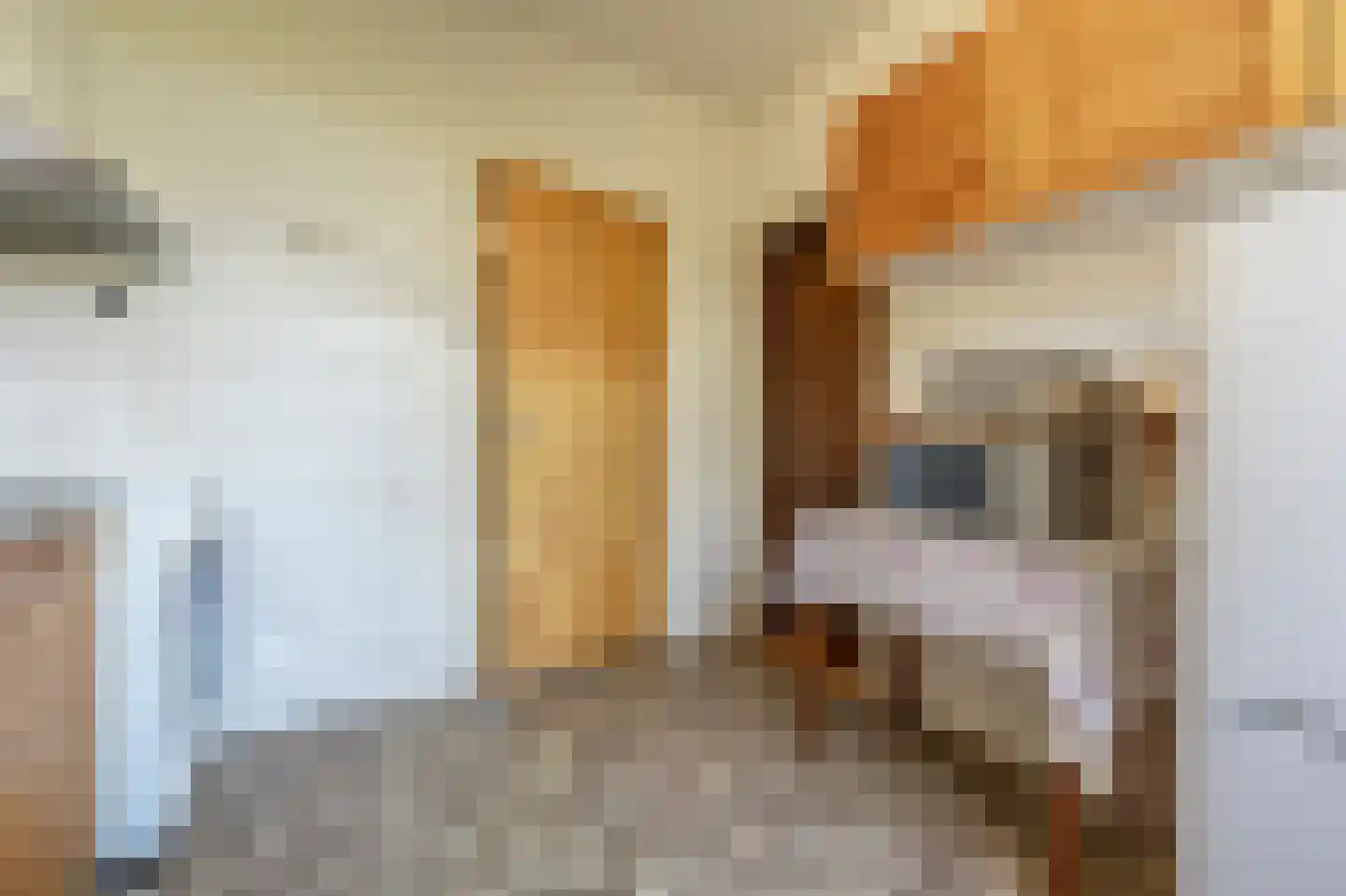 Laan van Moerkerken 60 Mijnsheerenland thumbnail 11