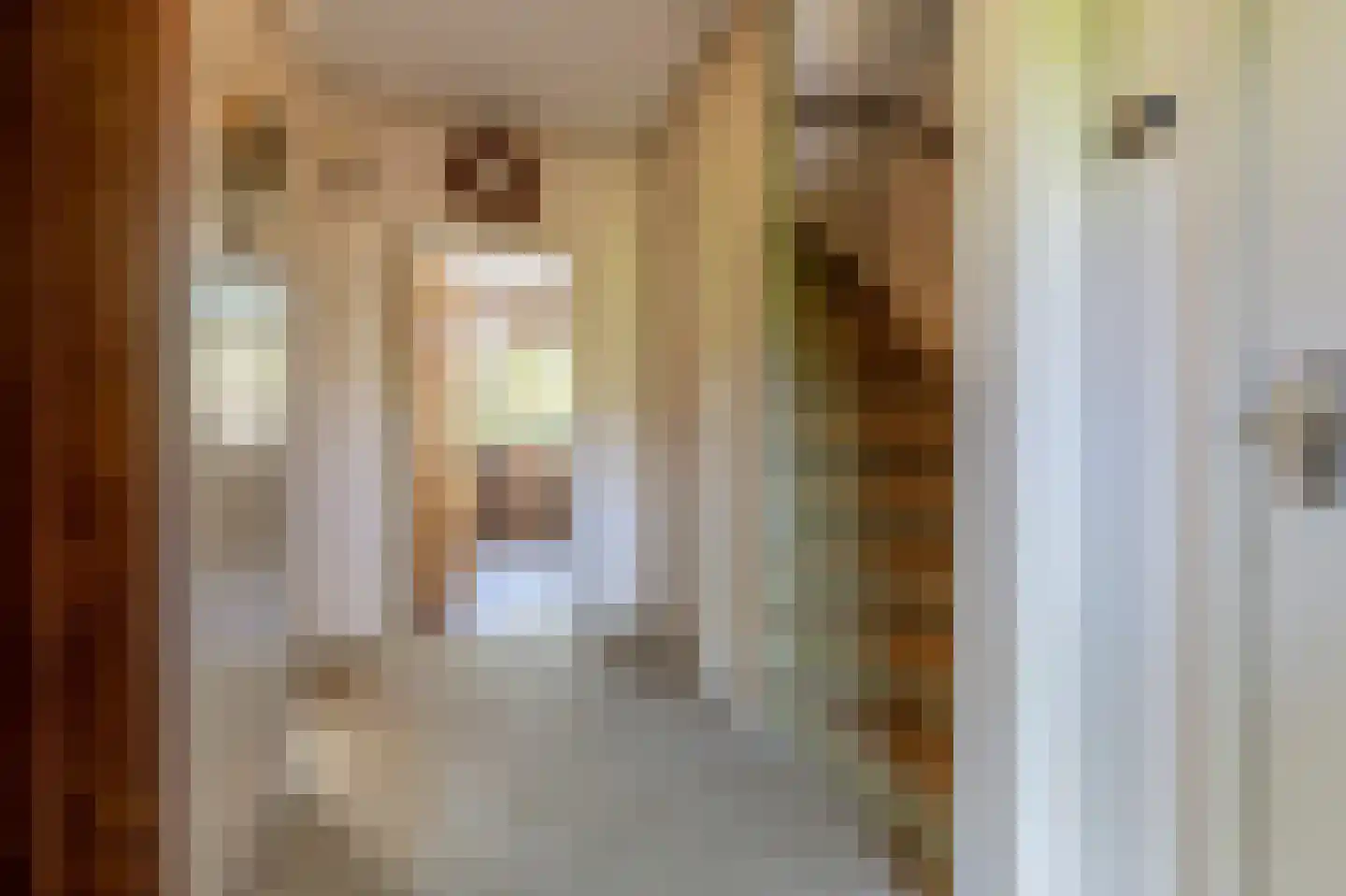 Laan van Moerkerken 60 Mijnsheerenland thumbnail 12