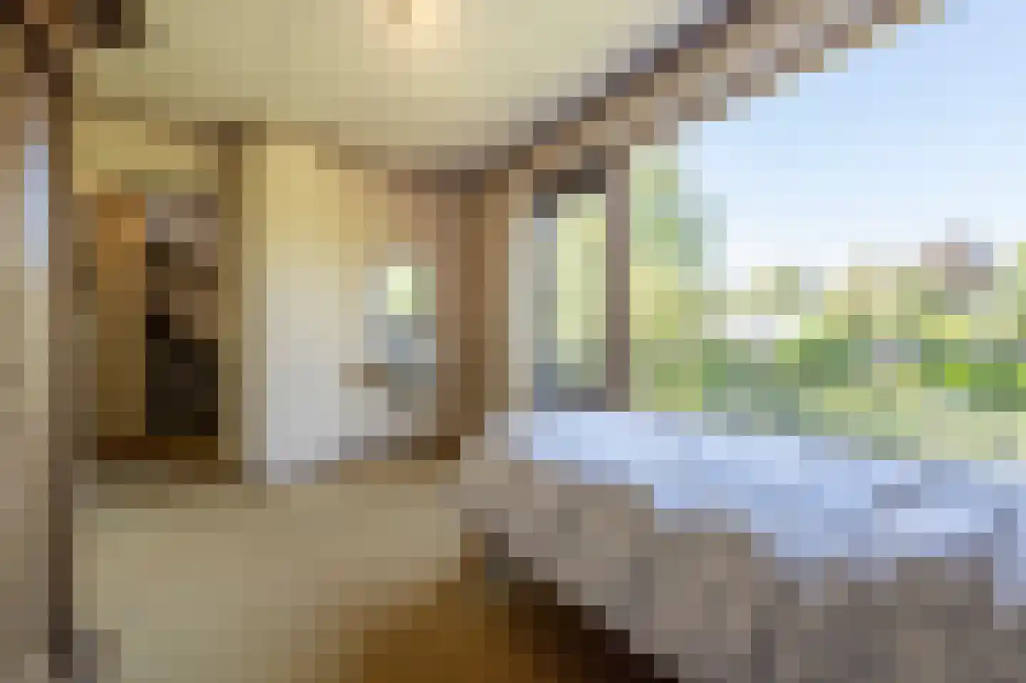 Laan van Moerkerken 60 Mijnsheerenland thumbnail 14