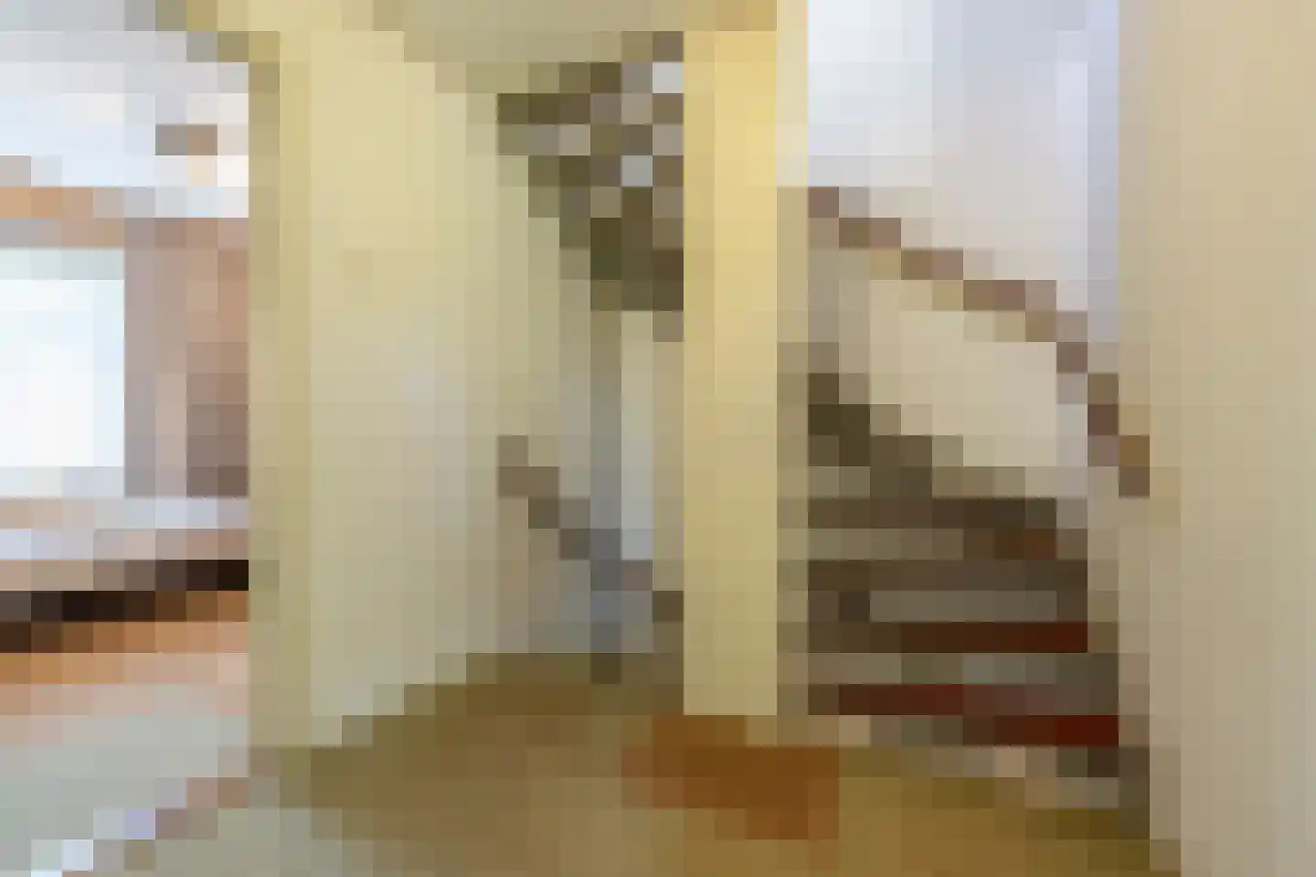Laan van Moerkerken 60 Mijnsheerenland thumbnail 21