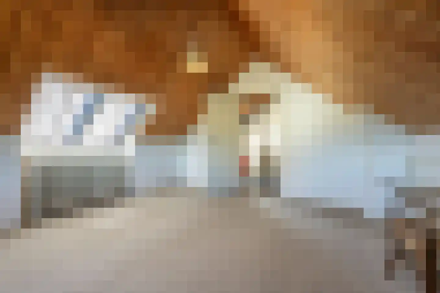 Laan van Moerkerken 60 Mijnsheerenland thumbnail 22