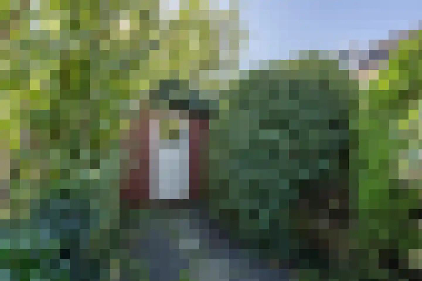 Laan van Moerkerken 60 Mijnsheerenland thumbnail 27