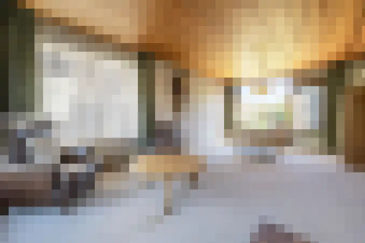 Laan van Moerkerken 60 Mijnsheerenland thumbnail 4