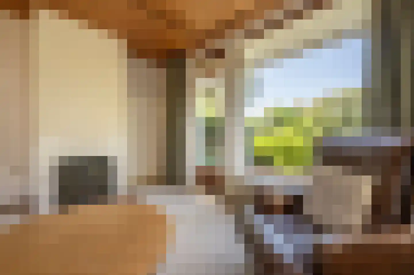 Laan van Moerkerken 60 Mijnsheerenland thumbnail 5