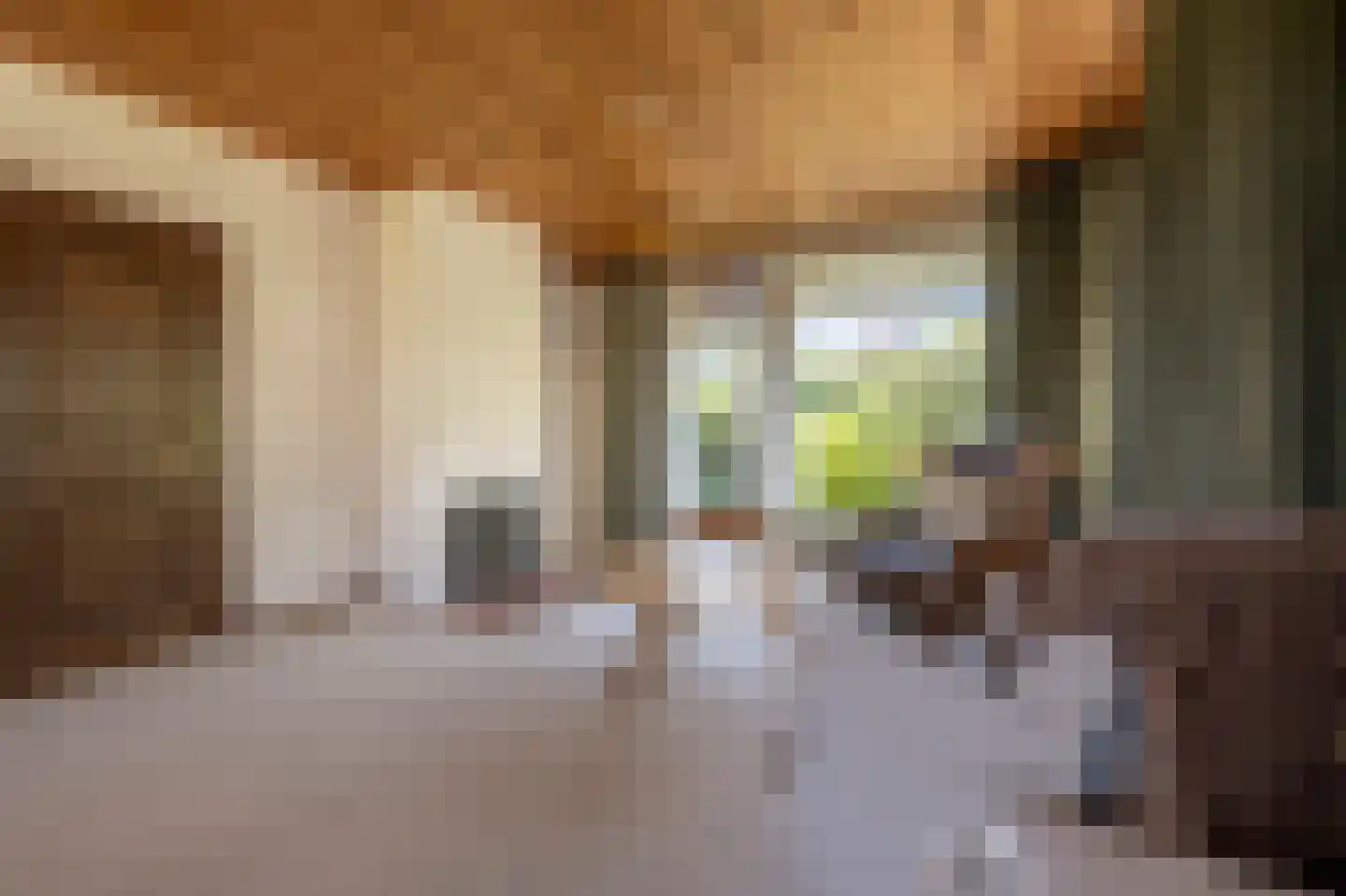 Laan van Moerkerken 60 Mijnsheerenland thumbnail 6
