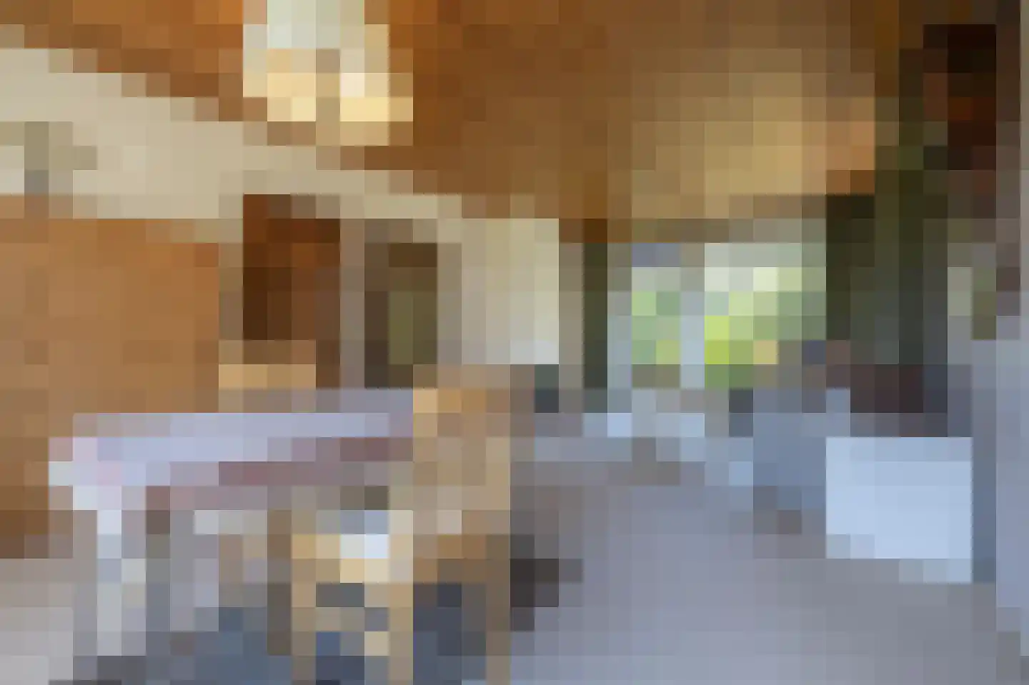Laan van Moerkerken 60 Mijnsheerenland thumbnail 8