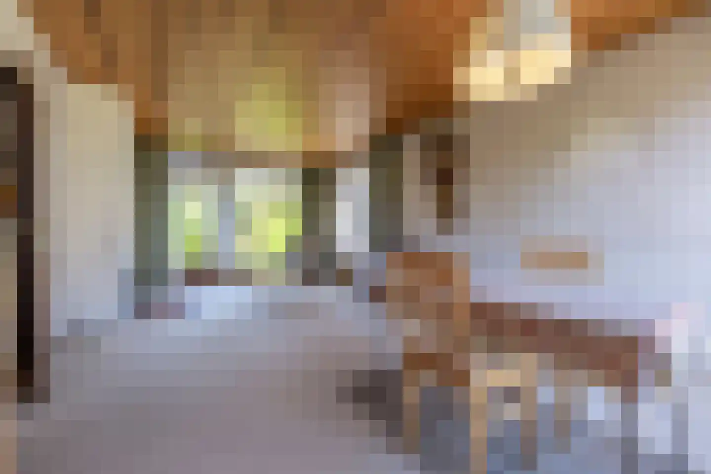 Laan van Moerkerken 60 Mijnsheerenland thumbnail 9