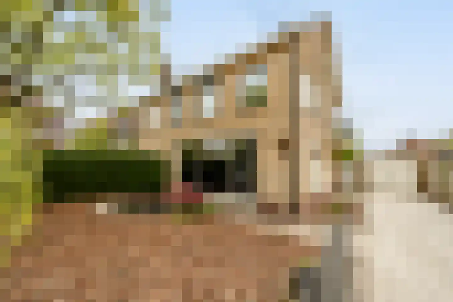 Laan van Moerkerken 62 in Mijnsheerenland