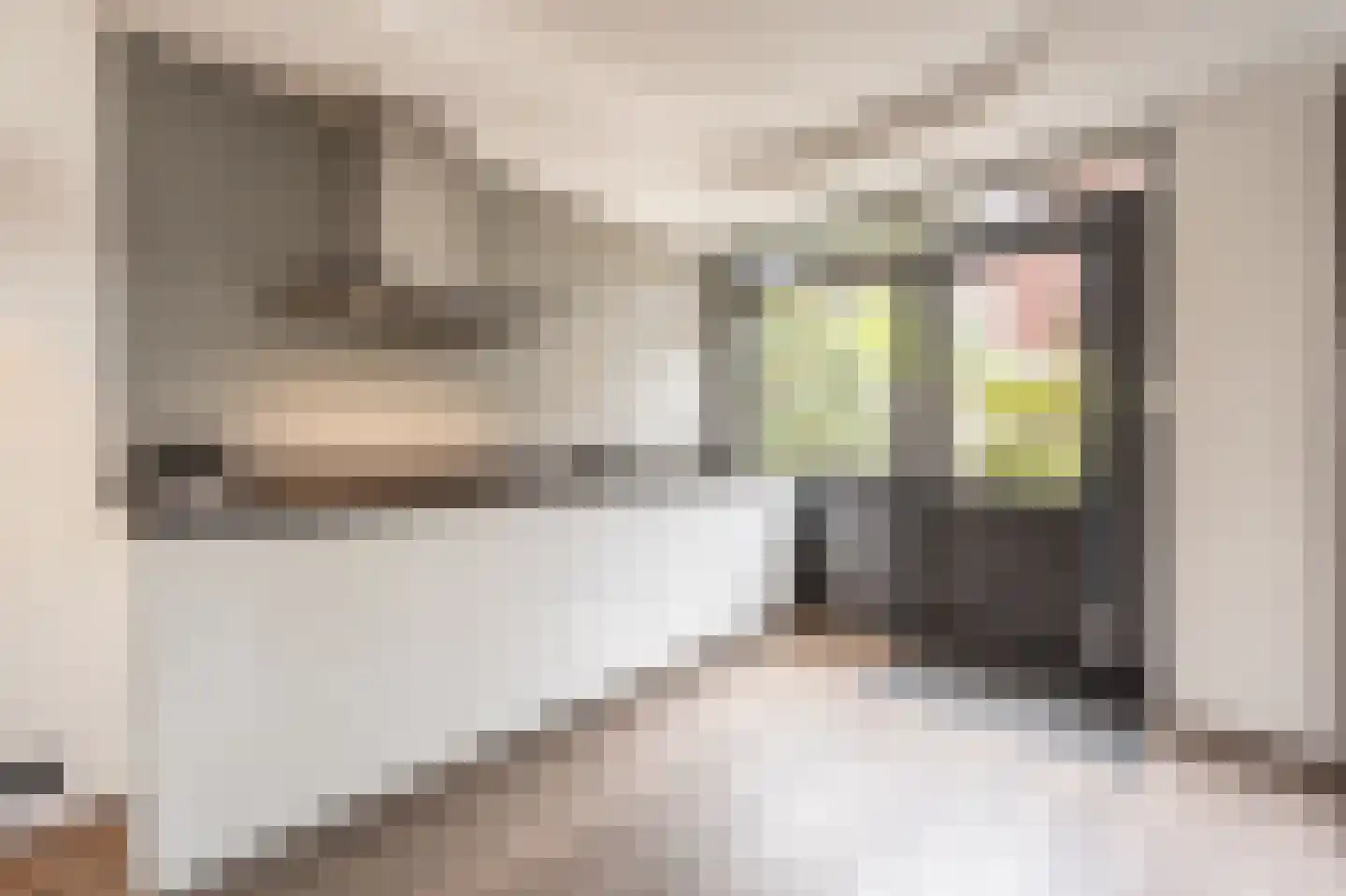 Laan van Moerkerken 62 Mijnsheerenland thumbnail 12